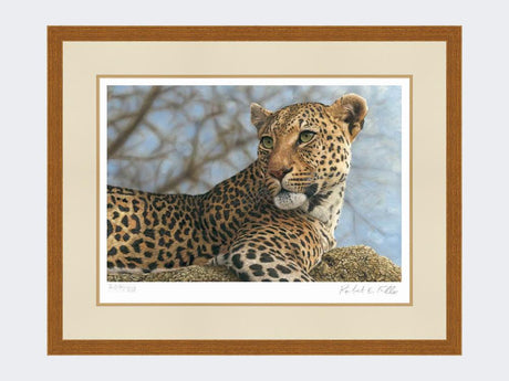 Leopard-on-the-Lookout-Rustic-Country