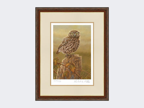 Little-Owl-in-Evening-Light-Print-Harvest-Twist