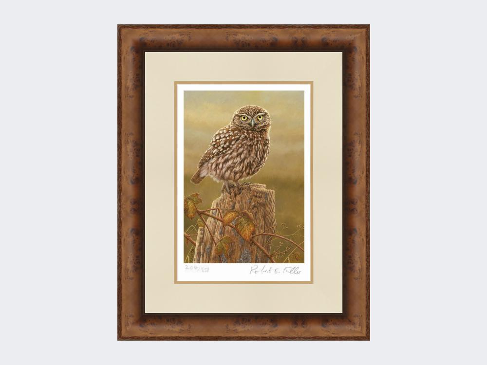 Little-Owl-in-Evening-Light-Print-Medium-Walnut-Burr