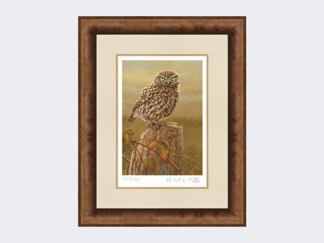 Little-Owl-in-Evening-Light-Print-Medium-Walnut-Burr