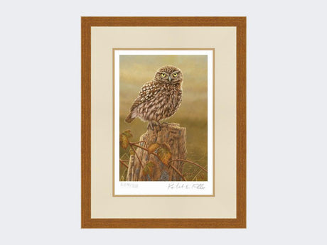 Little-Owl-in-Evening-Light-Print-Rustic-Country