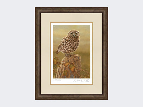 Little-Owl-in-Evening-Light-Print-Small-Dark-Grey-Burr