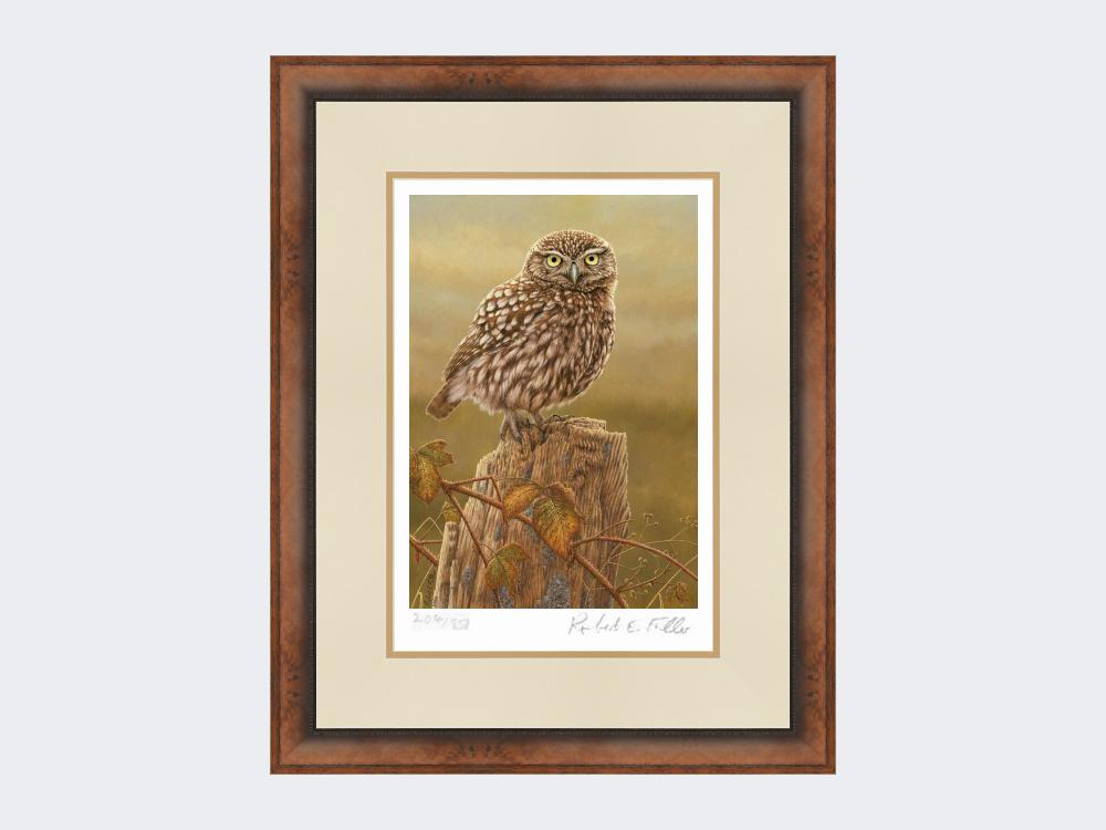 Little-Owl-in-Evening-Light-Print-Small-Walnut-Burr