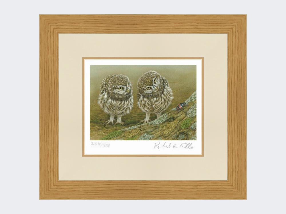 Little-Owls-and-Beetle-Print-Light-Oak