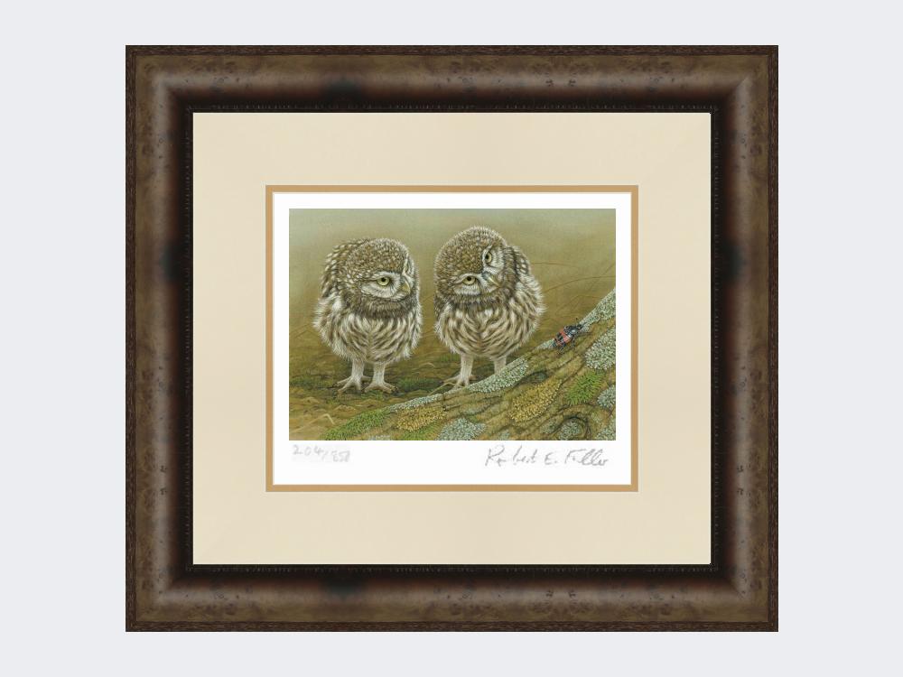 Little-Owls-and-Beetle-Print-Medium-Dark-Grey-Burr