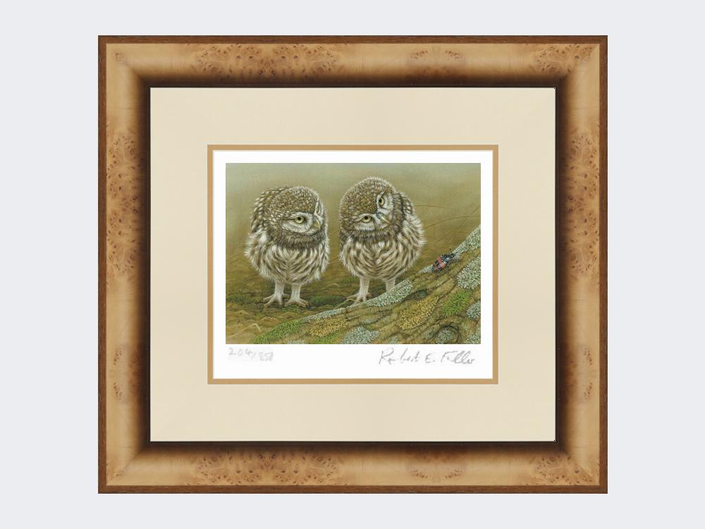 Little-Owls-and-Beetle-Print-Medium-Light-Burr