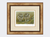 Little-Owls-and-Beetle-Print-Medium-Light-Burr