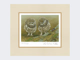 Little-Owls-and-Beetle-Print-Mounted-Print-Only