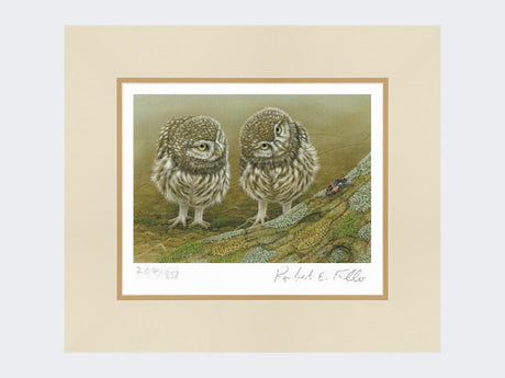 Little-Owls-and-Beetle-Print-Mounted-Print-Only