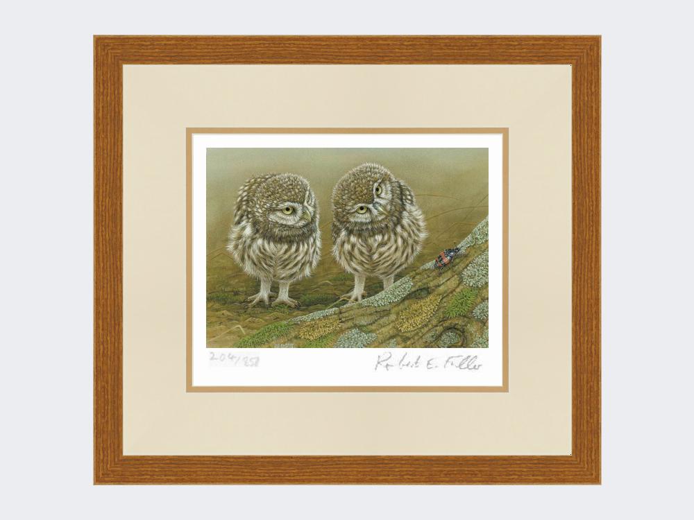 Little-Owls-and-Beetle-Print-Rustic-Country