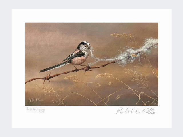 Long-Tailed-Tit-with-Wool-Print-Loose-Print-Only