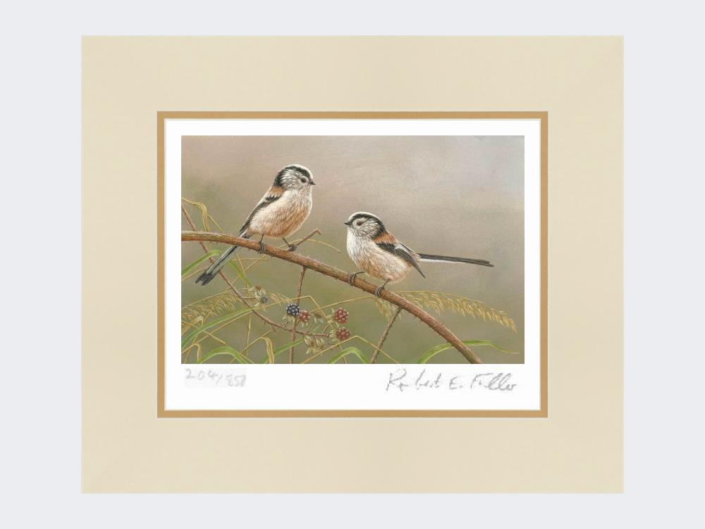 Long-Tailed-Tits-on-Blackberry-Print-Mounted-Print-Only