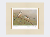 Long-Tailed-Tits-on-Blackberry-Print-Mounted-Print-Only