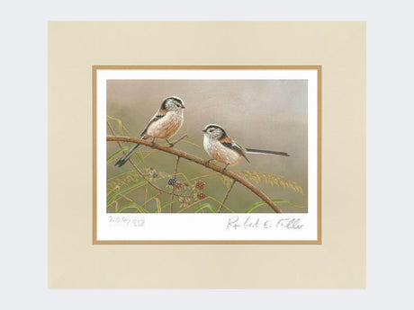 Long-Tailed-Tits-on-Blackberry-Print-Mounted-Print-Only