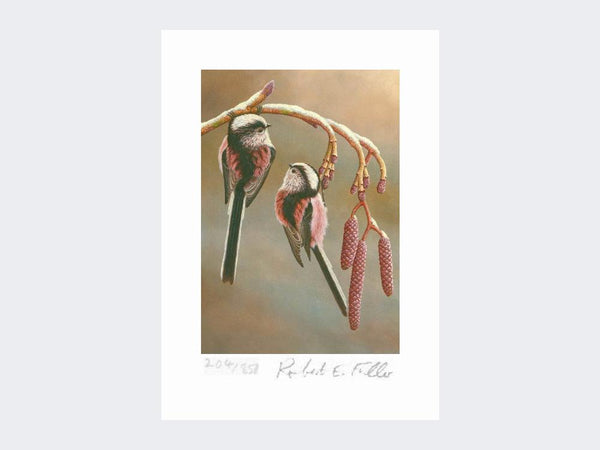 Long Tailed Tits on Catkins | Limited Edition Art Print