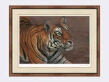 Tiger of Bandhavgarh framed print