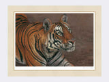 Tiger of Bandhavgarh mounted