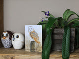 Notelet-Barn-Owl-on-Fencepost-Lifestyle-2 - Copy