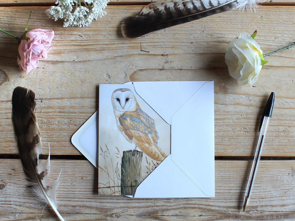 Notelet-Barn-Owl-on-Fencepost-Lifestyle