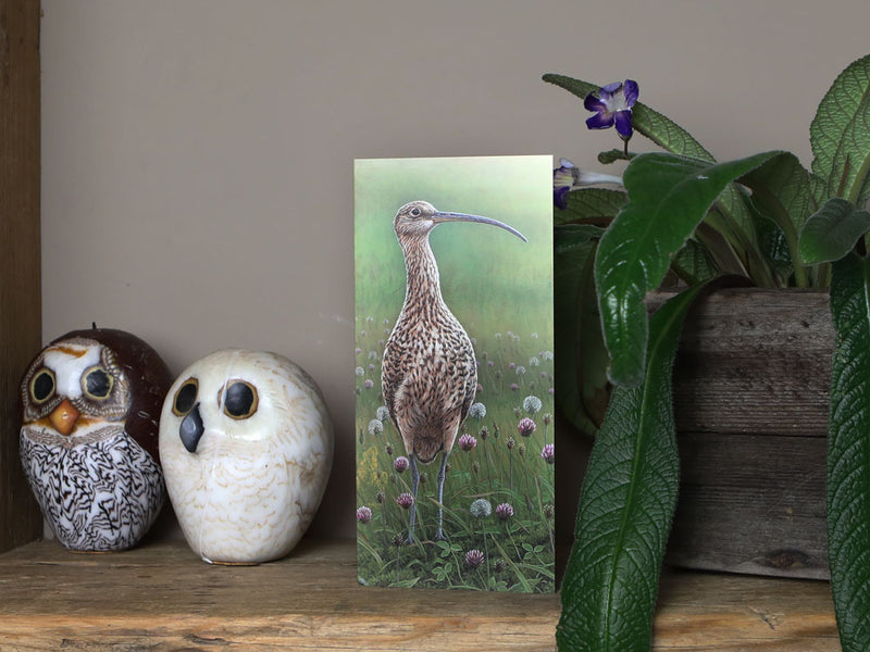 Notelet-Curlew-in-Wildflowers-Lifestyle-2