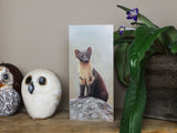 Notelet-Inquisitive-Pine-Marten-Lifestyle-2