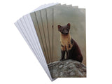 Notelet-Inquisitive-Pine-Marten-White-1