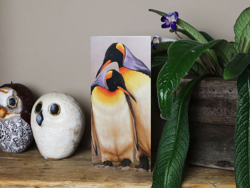 Notelet-King-Penguin-Pair-Lifestyle-2