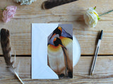 Notelet-King-Penguin-Pair-Lifestyle