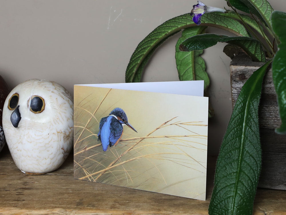 Notelet-Kingfisher-on-Reeds-Lifestyle-2