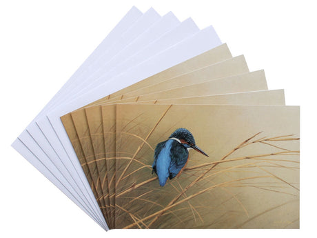 Notelet-Kingfisher-on-Reeds-White-1