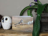 Notelet-Longtailed-Tit-with-Wool-Lifestyle-2