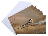 Notelet-Longtailed-Tit-with-Wool-White-1