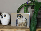 Notelet-Peregrine-Portrait-Lifestyle-2