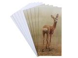 Notelet-Roe-Doe-Looking-Back-White-1