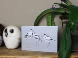 Notelet-Trio-of-Avocets-Lifestyle-2