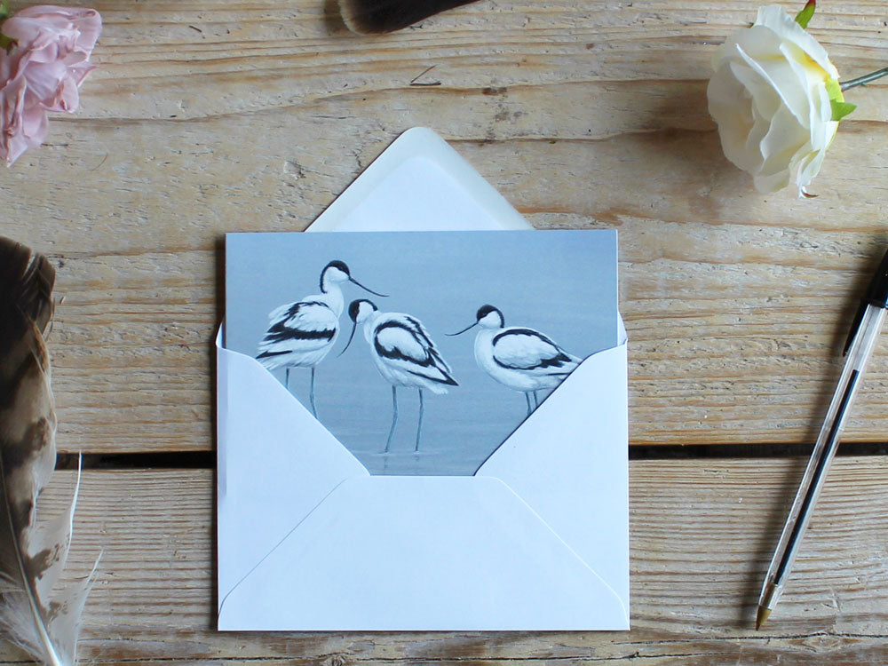 Notelet-Trio-of-Avocets-Lifestyle