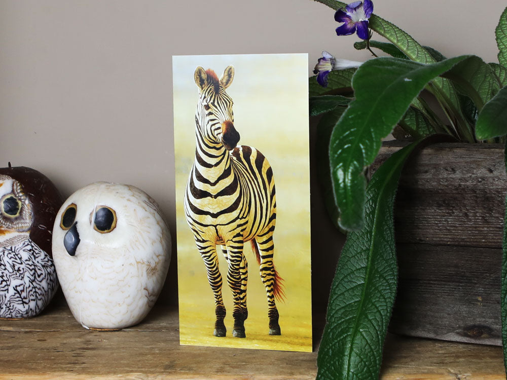 Notelet-Zebra-of-Ngoron-Lifestyle-2