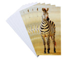 Notelet-Zebra-of-Ngoron-White-1