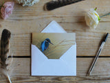 Notelet-kingfisher-on-Reeds-Lifestyle