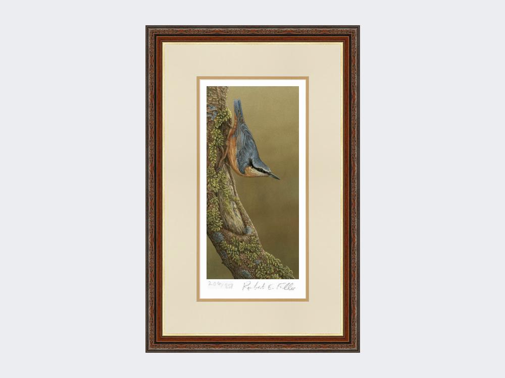 Nuthatch-Limited-Edition-Print-Harvest-Twist