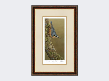 Nuthatch-Limited-Edition-Print-Harvest-Twist