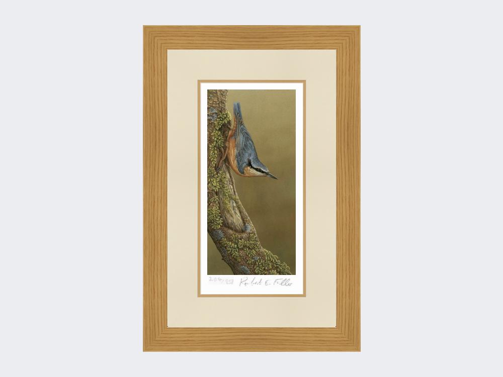 Nuthatch-Limited-Edition-Print-Light-Oak