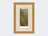 Nuthatch-Limited-Edition-Print-Light-Oak