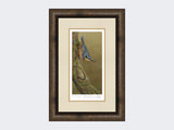 Nuthatch-Limited-Edition-Print-Medium-Dark-Grey-Burr