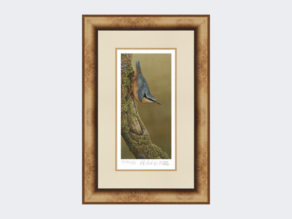 Nuthatch-Limited-Edition-Print-Medium-Light-Burr