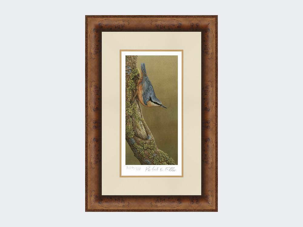 Nuthatch-Limited-Edition-Print-Medium-Walnut-Burr