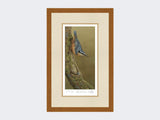 Nuthatch-Limited-Edition-Print-Rustic-Country