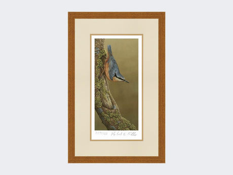 Nuthatch-Limited-Edition-Print-Rustic-Country