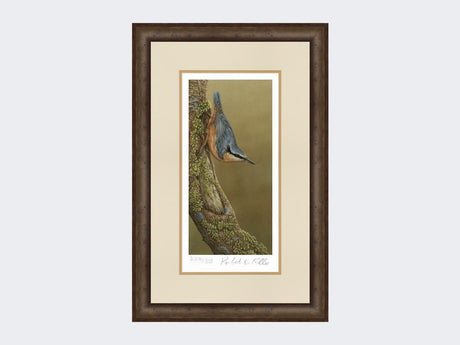 Nuthatch-Limited-Edition-Print-Small-Dark-Grey-Burr