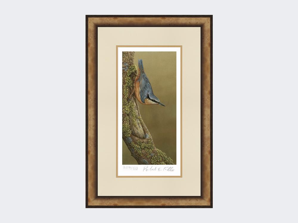 Nuthatch-Limited-Edition-Print-Small-Light-Burr